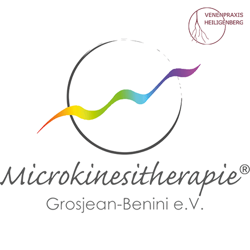 Link: Microkinesitherapie